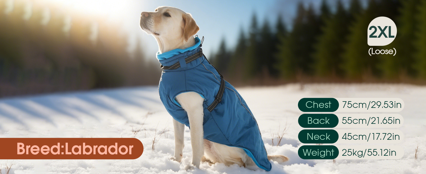 Водонепроникний теплий зимовий пуховик для собак середнього розміру Kuoser, чорний, M (Обхват грудей: 53 см, Обхват шиї: 38 см)