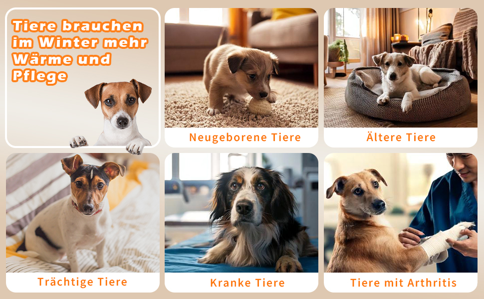 Килимок гріючий для тварин 45x45 см – підігрівальний килимок для собак та котів, 30–60°C, таймер 14 год, захист від перегріву, міцний кабель 1,8 м, 2 знімні чохли, регулювання температури