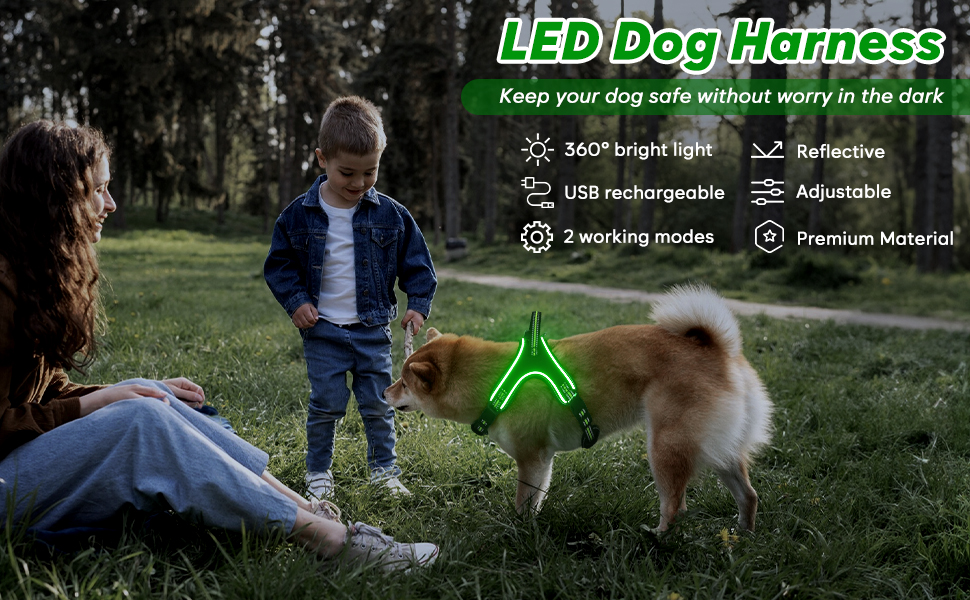 Світлодіодне обіднє світловідбиваючий нашийник для собак з ручкою, перезаряджається, для безпеки вночі, середніх та маленьких собак (L, Зелений)