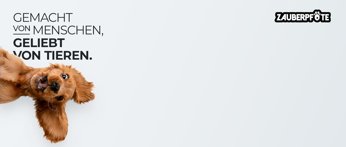 Автогурт для собак 'Argo' – регульований безпечний ремінь з амортизацією та ISOFIX, підходить для всіх порід (Чорний, S, 35-45 см)