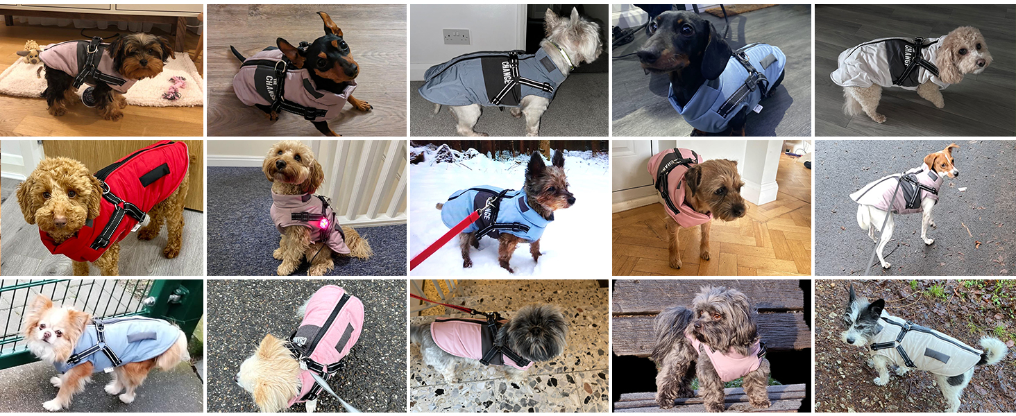 Теплий зимовий одяг для собак: куртка, жилет, плащ для маленьких та середніх порід, рожевий