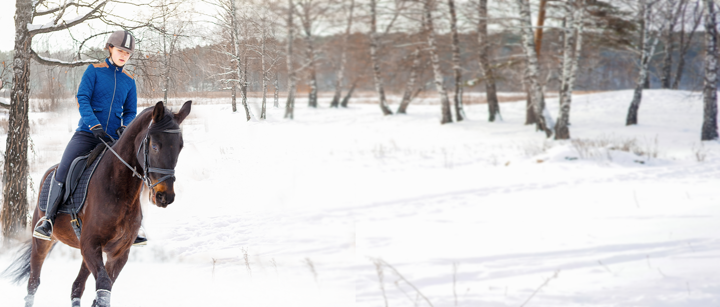 Чорні легінси для верхової їзди жіночі зимові, повний облягання, термо, з флісовою підкладкою, водонепроникні, з кишенею для телефону, з петлями для ременя, розмір S