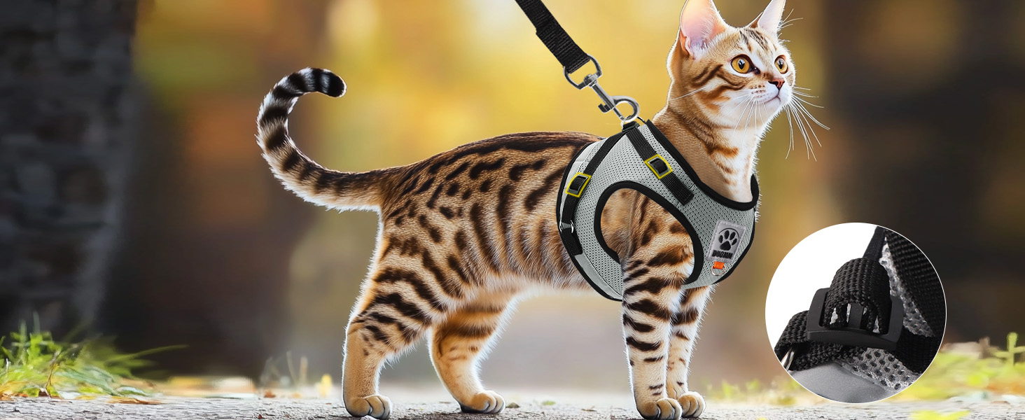 Нашийник для котів Bindokun з повідком, анти-вислизання, комплект, розмір M, сірий