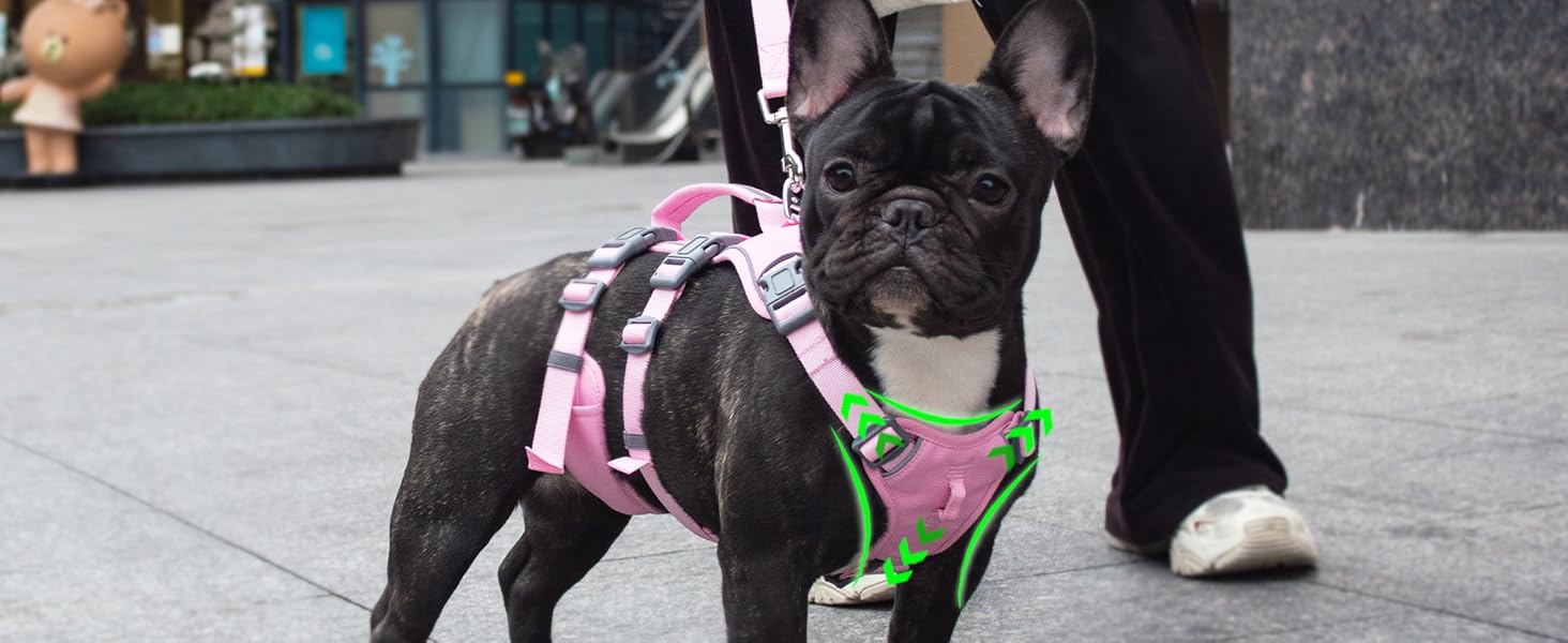 Нашийник для собак Wuffley з повідком, безпечний нашийник від вислизання, анти-тяговий нашийник з ручкою та світловідбиваючими елементами, легкий, регульований нашийник для середніх собак (рожевий, XS) Дуже маленький рожевий