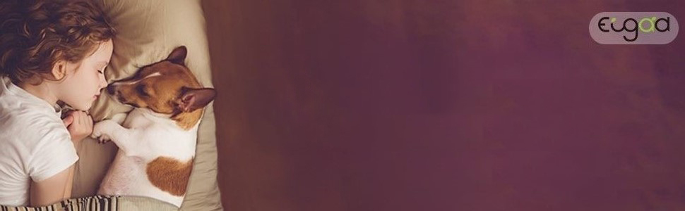 Транспортна переноска для собак EUGAD, алюміній, 80x65x65 см, сіра. Підходить для великих та середніх собак, котів. Для автомобіля, дому, подорожей. Легко мити, стабільна конструкція.