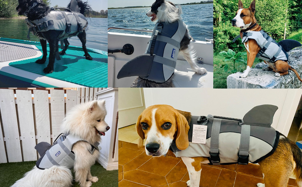 Жилет для плавання собак Aokay Shark, розмір M, сірий. Безпечний рятувальний жилет для собак з міцною ручкою.