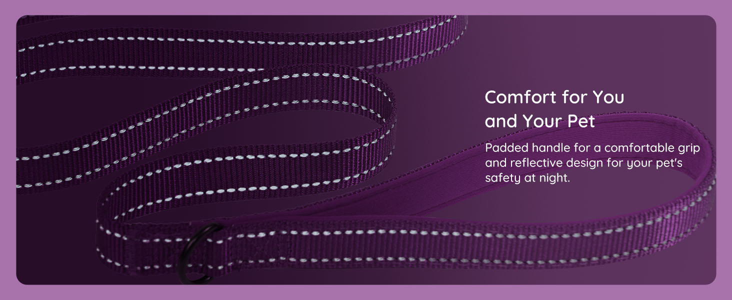 Шлейка для собак BELLA & PAL для маленьких собак з повідком, Step-in шлейка з Air Mesh, анти-тяга, світловідбиваюча, дихаюча, для цуценят, котяча шлейка, XS (XXS (28-30см обхват грудей), фіолетова)