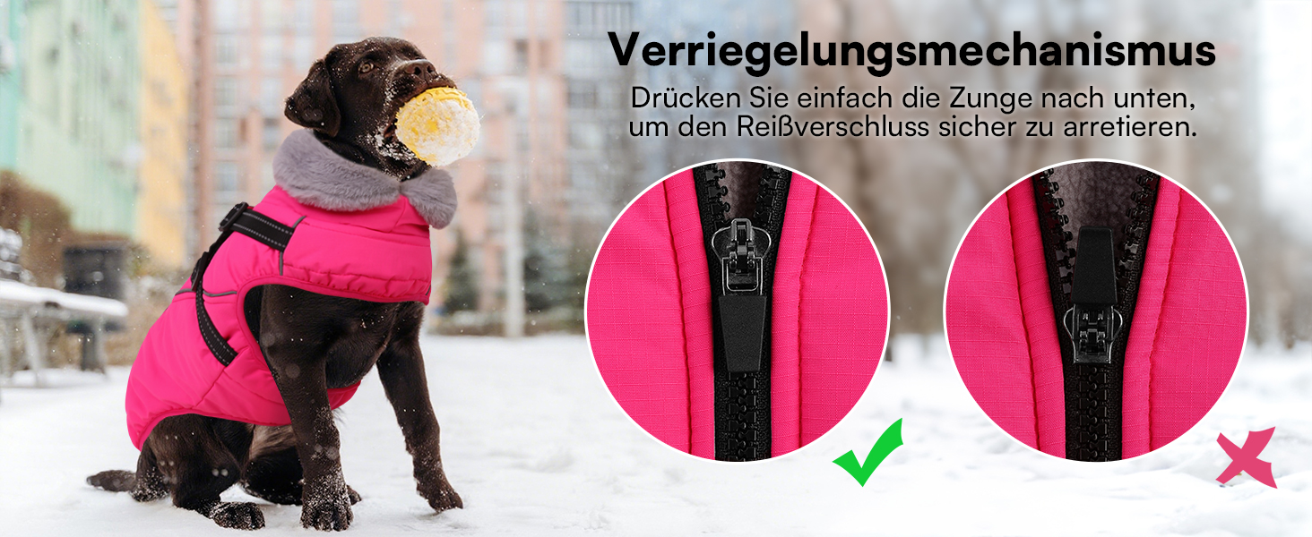 Зимовий теплий водонепроникний одяг для собак Queenmore, куртка для собак з шлейкою, 3-шарова, світловідбиваюча, для великих порід (лабрадор, хаскі, голден ретрівер) (Морська хвиля, 2XL) XXL Морська хвиля