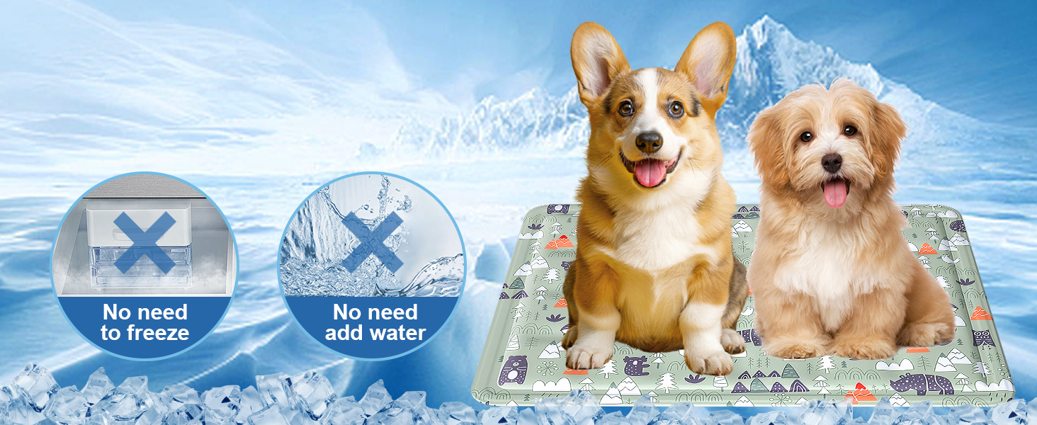 Кühlmatte Hunde: Охолоджуючий килимок для собак та котів 50x65 см. Самоохолоджуючий, водовідштовхуючий, з нетоксичним гелем. Для дому та вулиці.