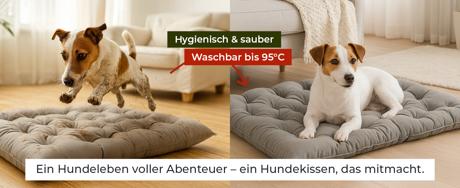 Ортопедичне собаче ліжко Doctor Bark Urban - для середніх собак, 70x50 см, сірий колір, Made in Germany. Можна прати до 95°C, міцне, для дому та вулиці.