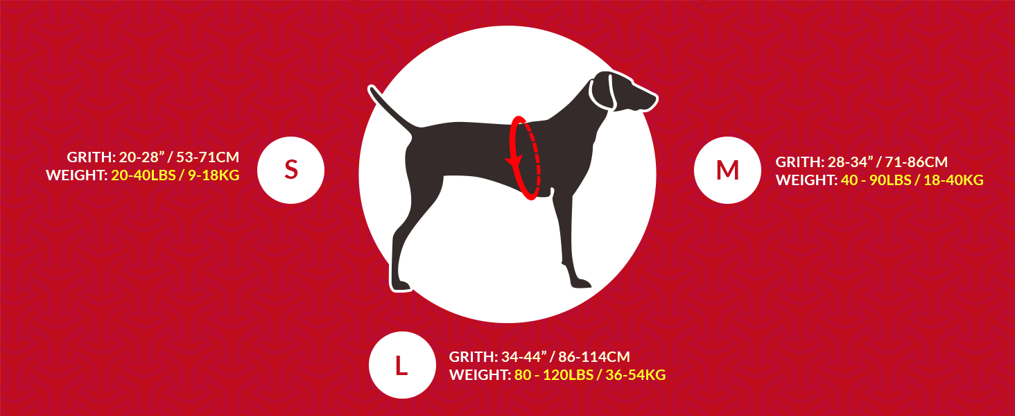 iEnergy™ MAL Hunderucksack: Водонепроникний рюкзак для собак – зручний та добре об'ємний для походів (маленький)