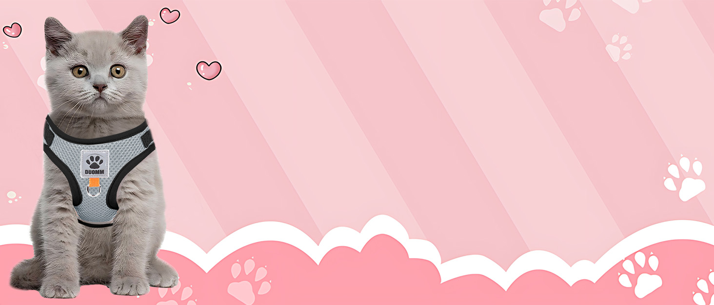 Нашийник для котів Bindokun з повідком, анти-вислизання, комплект, розмір M, сірий