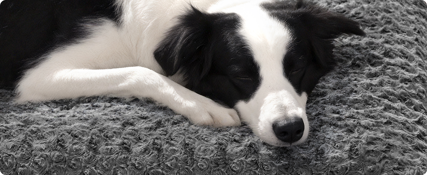 Ліжко для собак Feandrea XL, м'яке килим-матрас для великих собак, 110 x 73 см, сірий, PGW293GN01