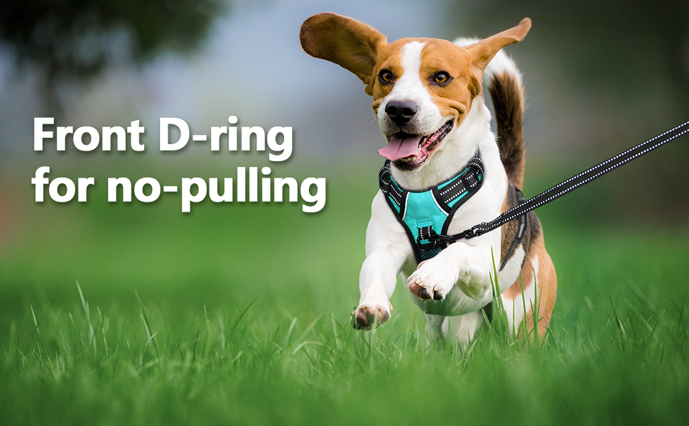 Шлейка для собак PoyPet, без тяги, без блювоти, світловідбиваюча, з 2 карабінами, регульована, м'яка, з простим контролем, для собак різних розмірів (розмір S, блакитна)