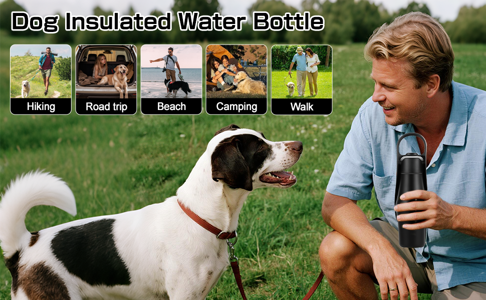 Водяна пляшка для собак на прогулянці - 750 мл, з нержавіючої сталі, подвійні стінки, вакуумна ізоляція, чорна, без витоку