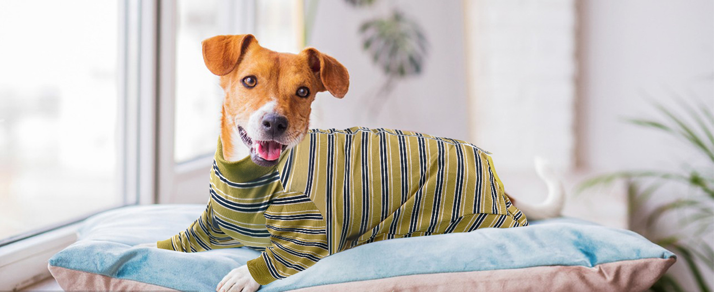 Захисний одяг для собак після операції: комбінезон для відновлення після кастрації/стерилізації (XXL, гірчичний)