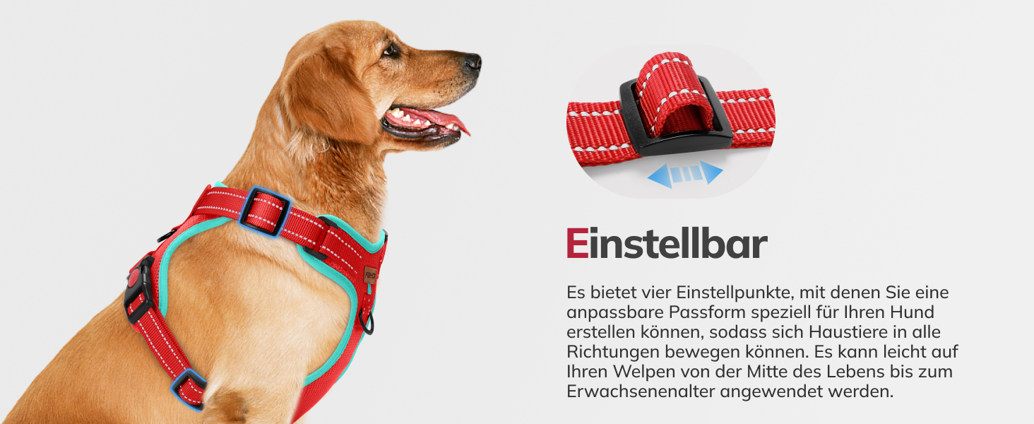 Шлейка для собак FAYOGOO з переднім кріпленням, не тягне, регульована, м'яка, з підкладкою, для малих, середніх та великих собак, синього кольору (S)