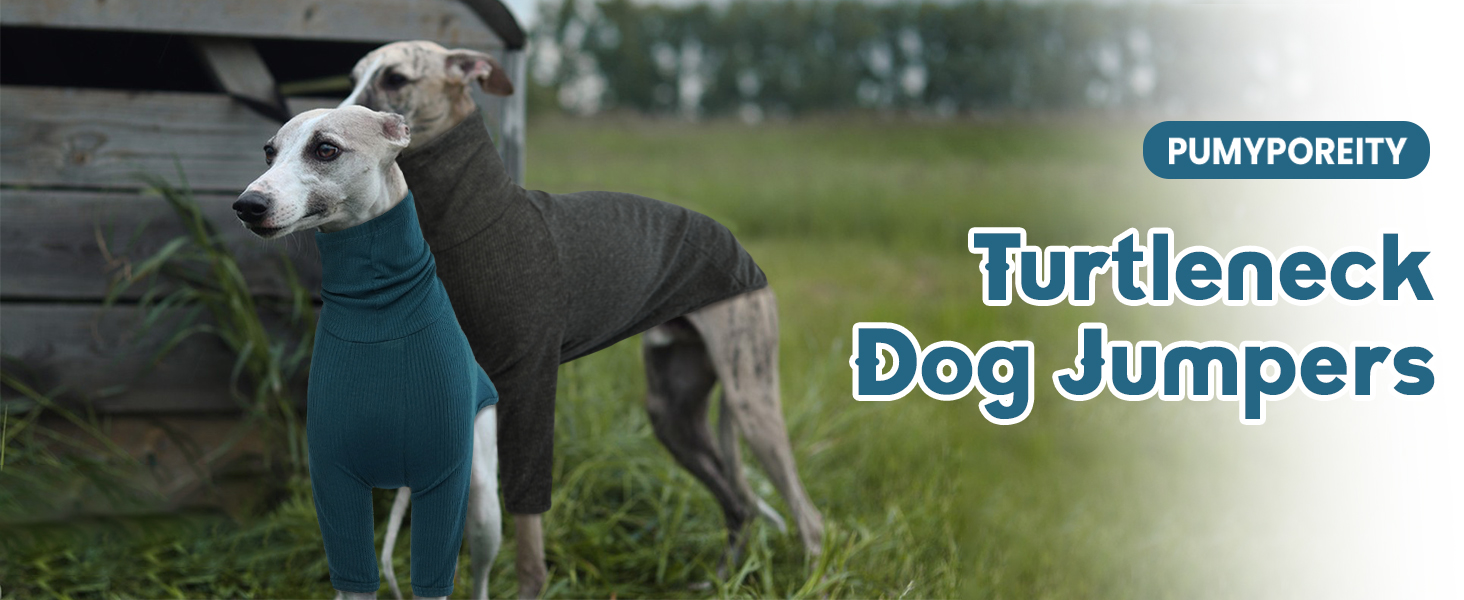 Теплий плед-пуловер для віндхунда (Greyhound) та породистих собак, зимова куртка, блакитний, XXL