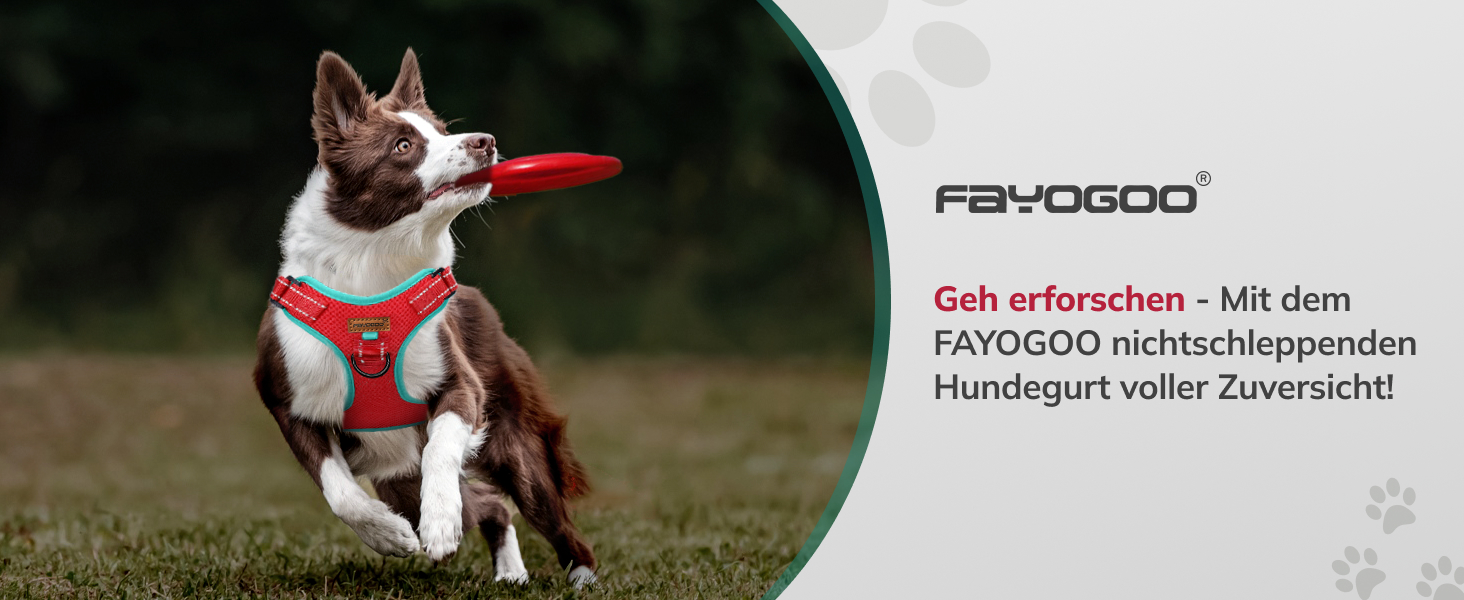 Шлейка для собак FAYOGOO з переднім кріпленням, не тягне, регульована, м'яка, з підкладкою, для малих, середніх та великих собак, синього кольору (S)