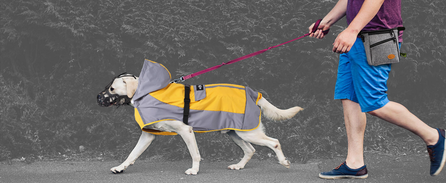 Сумка для ласощів Ownpets для собак, сумка для дресирування, зручна та функціональна, сіра