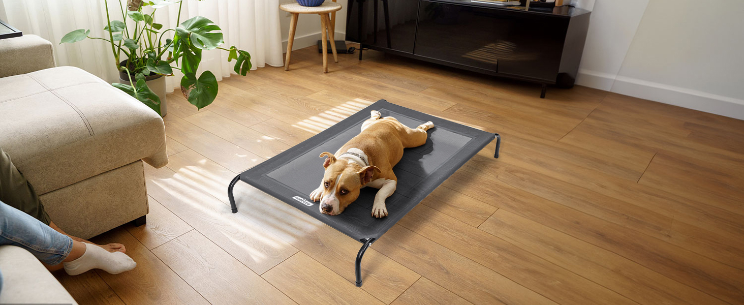 Nobleza Hundeliege Outdoor: Підвищене ліжко для собак, середній розмір, для вулиці, кемпінгу, з охолодженням, сіре, M, 105x80x20 см