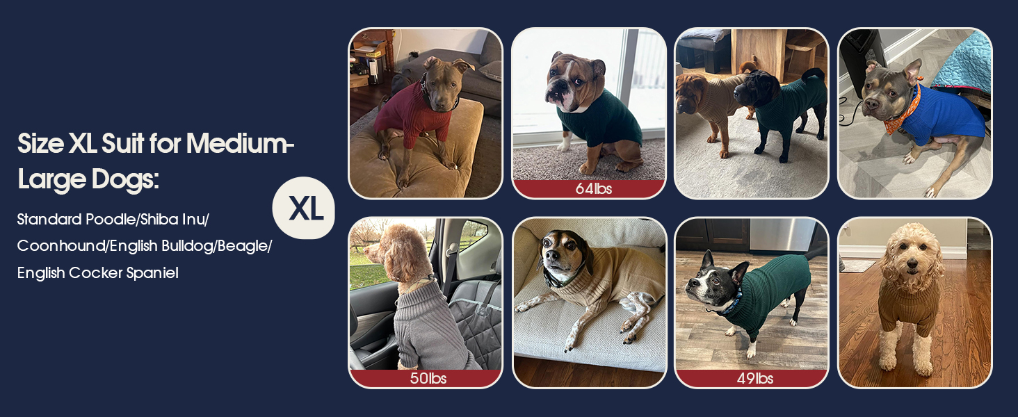 Зелений теплий зимовий пуловер для собак IECOii, великий розмір (XX-Large), для чихуахуа, бульдога, лабрадора