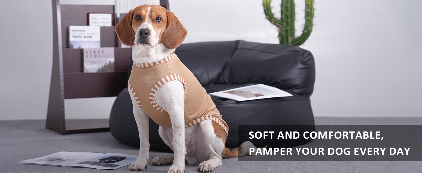 Сорочка для собак Katzinst (2 шт.) - сонцезахист, дихаючий матеріал, для середніх собак, французького бульдога, розмір L (зелений хакі)