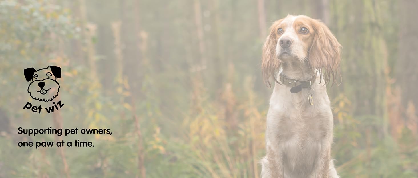 М'яке лежанка для собак з м'якою підкладкою, знімний чохол, світло-сірий та світло-блакитний, 3 розміри, ковдра для собак з антиковзаючою основою, світло-сірий, розмір M (90 x 62 см)