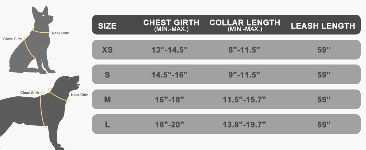 Шлейка та поводок для собак Expawlorer – класичний вибір для середніх собак, не тягнуть, регульовані, надійні для прогулянок, хакі (розмір M, обхват шиї 30-40 см, обхват грудей 40.6-45.7 см)