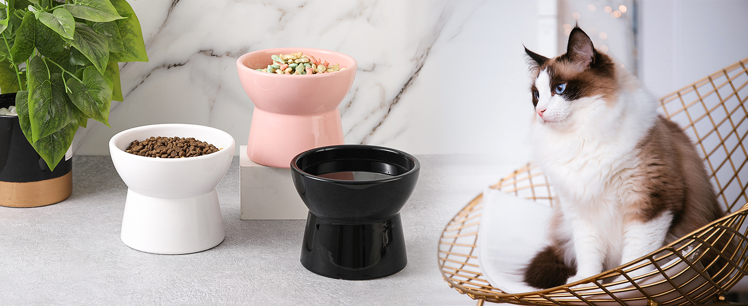 Підвищена годівниця для котів, керамічна - миска для води та їжі, антиблювотний дизайн, 550 мл, білий колір