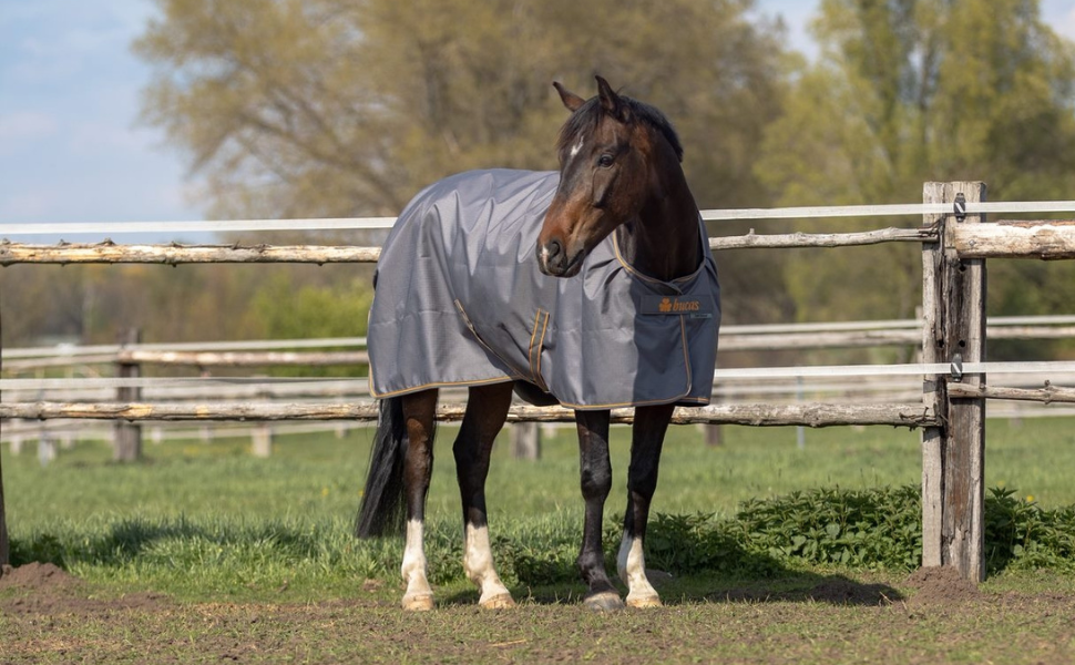 Зимова ковдра Marengos Bucas 1200D Irish Turnout - дихаюча та водонепроникна ковдра для вигулу з внутрішнім шаром та перехресним кріпленням. Сірий/Помаранчевий, розмір 145 см (наповнювач 50 г/м²)