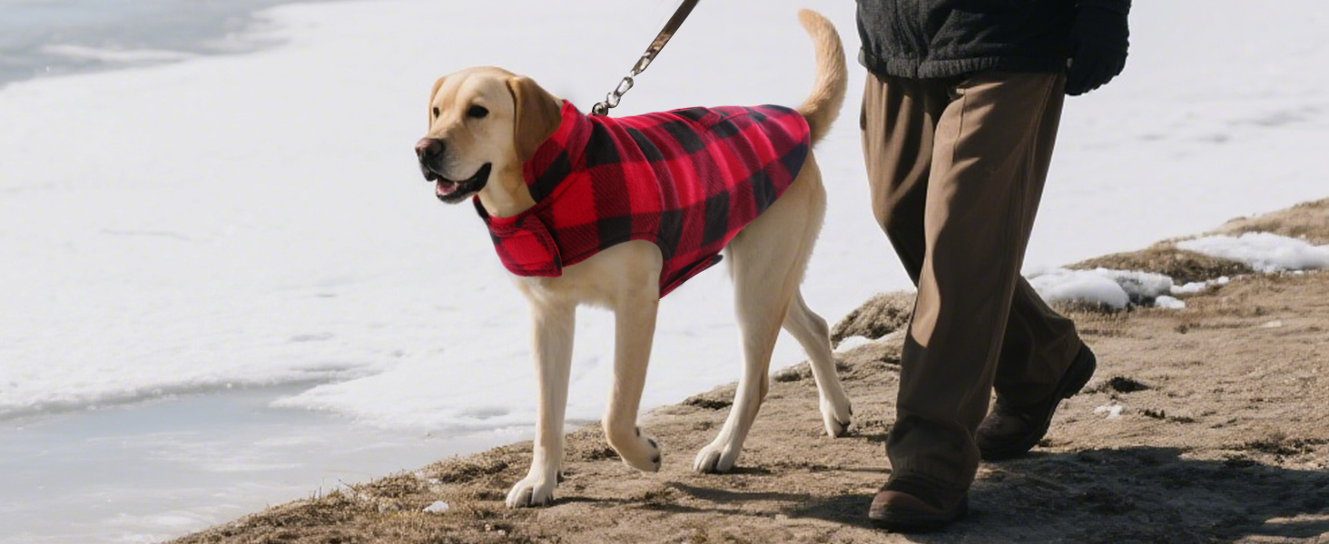 Зимовий теплий дощовик для собак XS, флісова куртка, дощовик для собак, 2 в 1, водонепроникний, вітрозахисний, з отвором для повідка, зелений