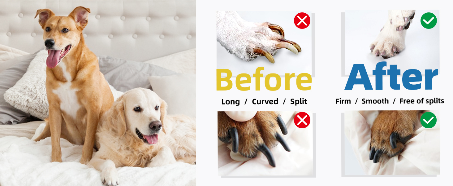 Електричний точило для кігтів собак Casfuy - 6 режимів, 45 дБ, з LED-підсвічуванням, для собак та котів великих, середніх та малих порід. Червоний