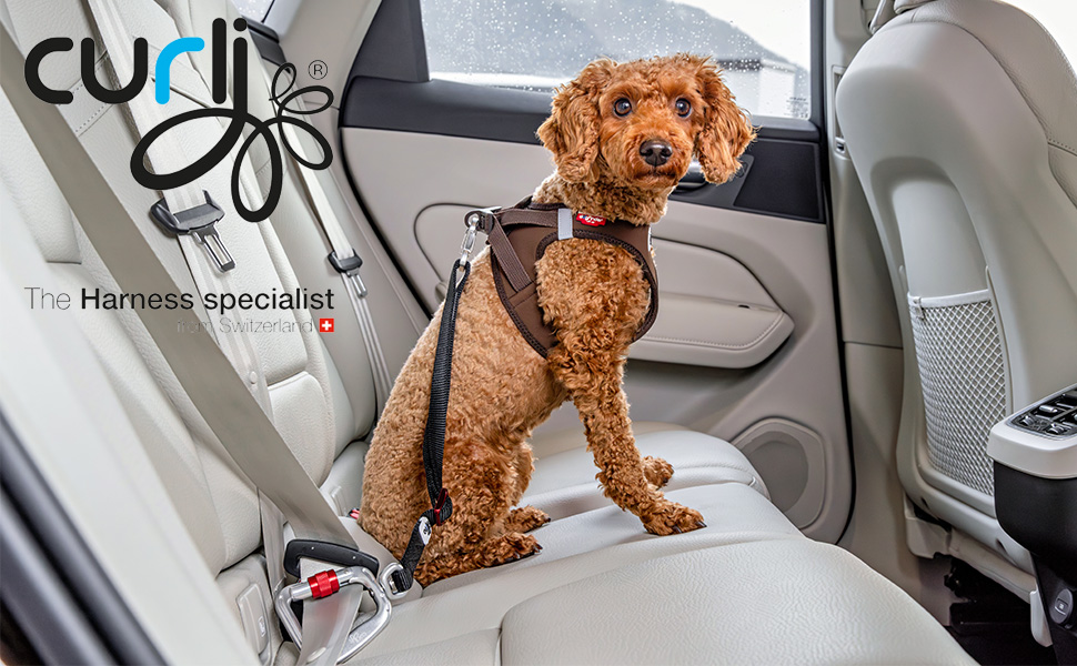 Ремінь безпеки для автомобіля V2 L Large