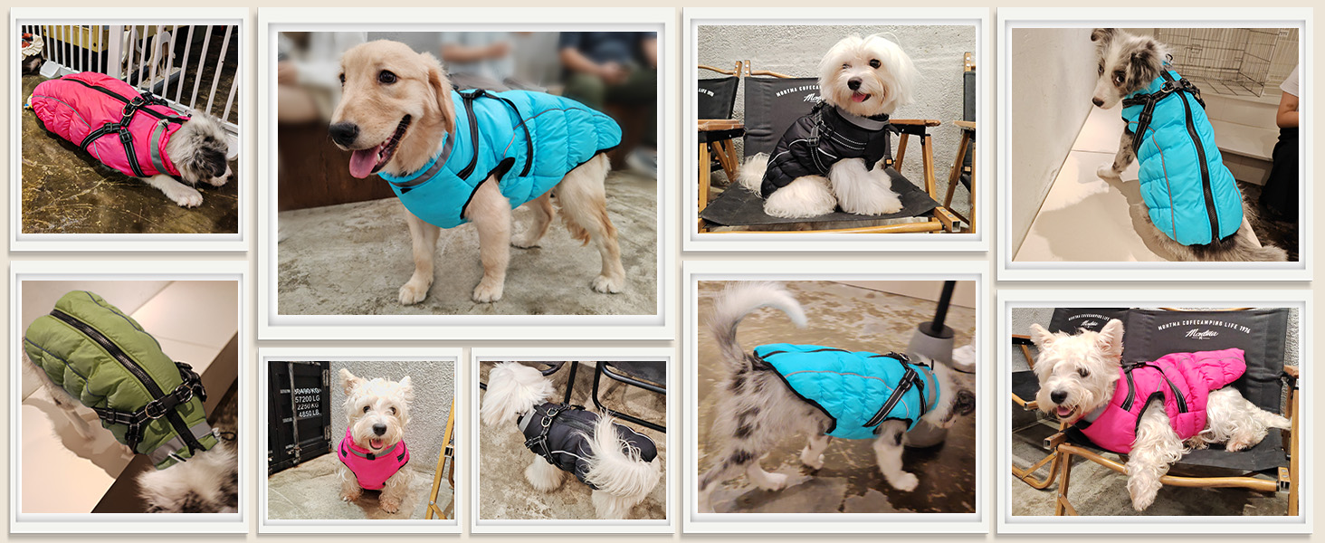 Водонепроникний зимовий одяг для собак HezzLuv, тепла куртка для собак з отвором для повідка, рожевий, 4XL