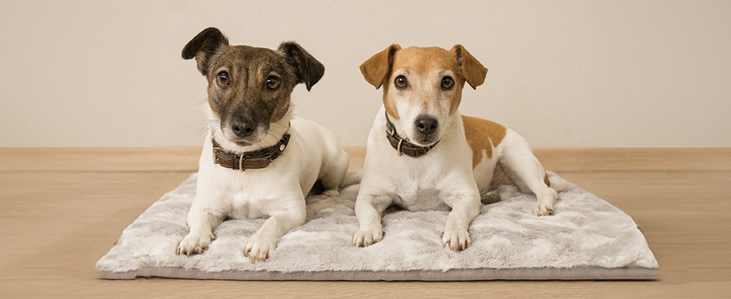 М'яка водонепроникна ковдра для собак, антиковзаюча та пральна - тепла ковдра для маленьких та середніх собак для дивану, авто та лежанки. Small