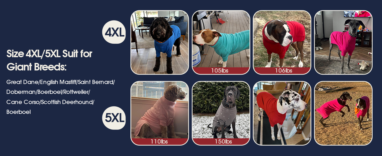 Зелений теплий зимовий пуловер для собак IECOii, великий розмір (XX-Large), для чихуахуа, бульдога, лабрадора