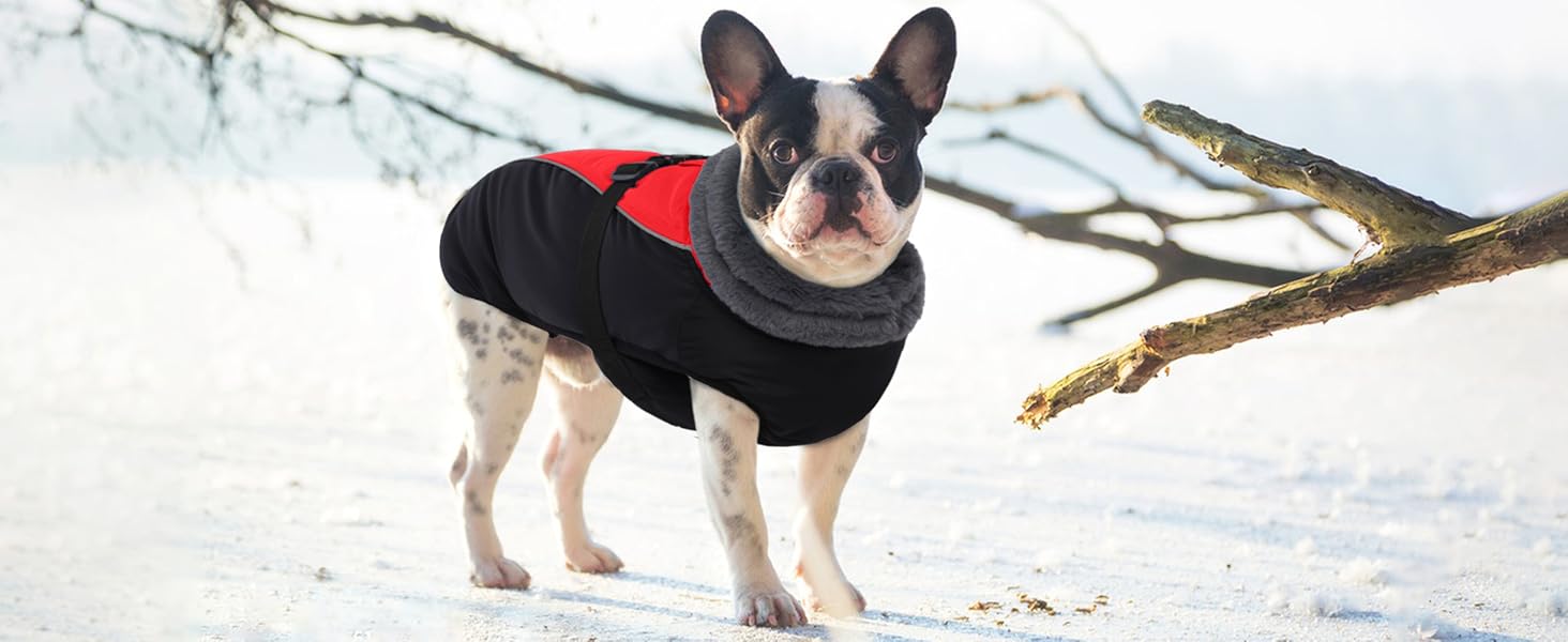 Водонепроникний зимовий теплий одяг для собак - куртка для маленьких, середніх та великих собак. Теплий одяг для собак з безпечними світловідбиваючими смугами для Лабрадорів, Чихуахуа, Французьких бульдогів. Зелений камуфляж