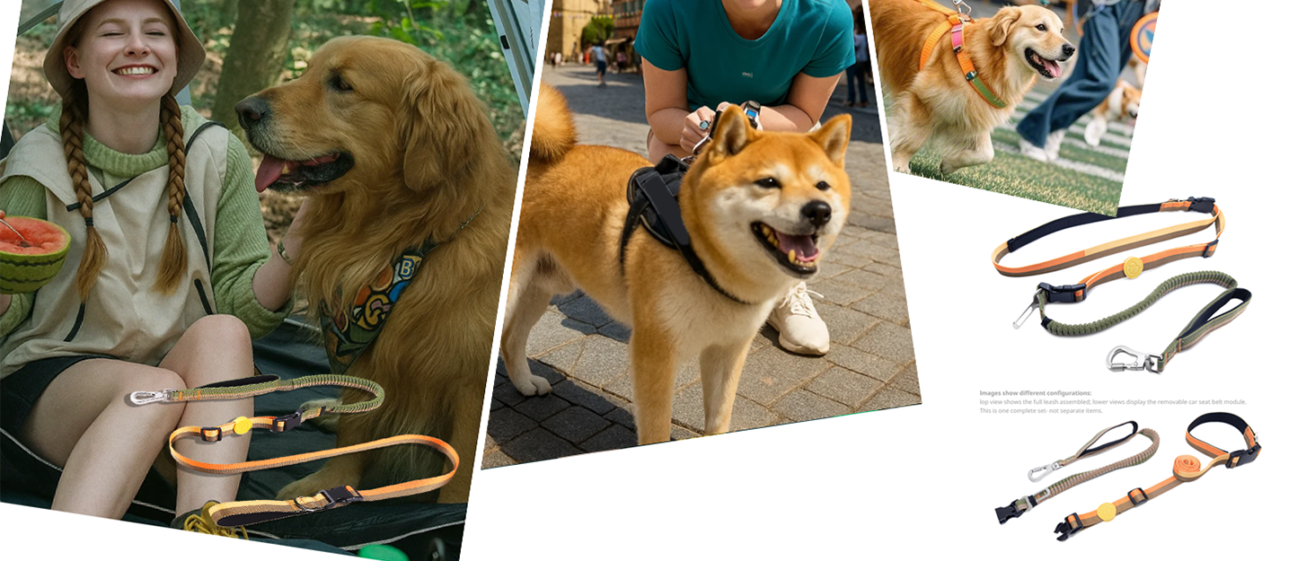 EVERKING 6-в-1 повідок для собак з живітним ременем – повідь для бігу та прогулянок, з двома ручками, антишокова пружина, кріплення для авто, альтернатива шлейці (Блакитний, Сірий, Блакитний, Хакі)