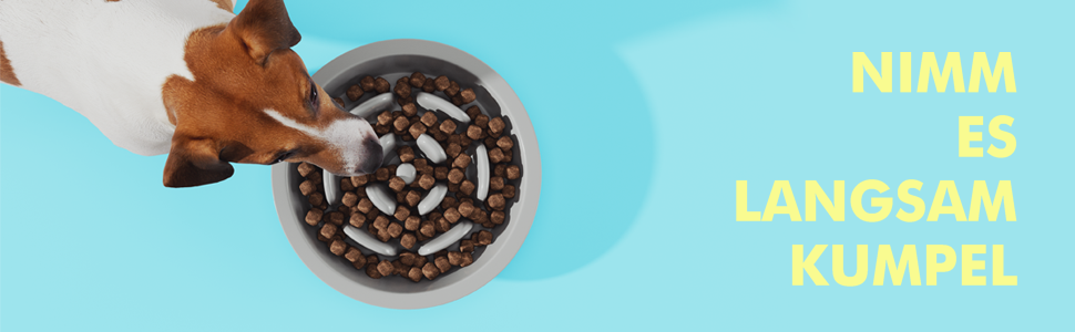 Підвищений годівниця для котів та маленьких собак TUONKEE, 2 миски з нержавіючої сталі, дерев'яний підстав з масивного дерева (чорний)