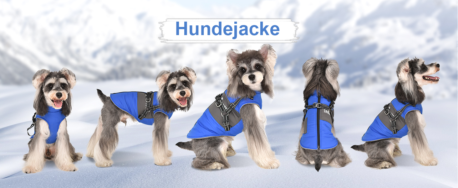 Теплий зимовий одяг для собак: куртка, жилет, плащ для маленьких та середніх порід, рожевий