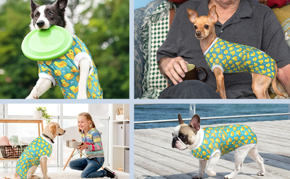 Комбінезон для собак та котів CuteBone Skulls післяопераційний, середній, для захисту ран, SSF05M-DE