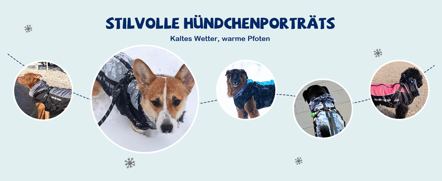 Водонепроникний теплий зимовий одяг для собак ALLSOPETS - куртка з відбиваючими смугами, стильна жилетка для холодної погоди (Blendblau, 3XL)