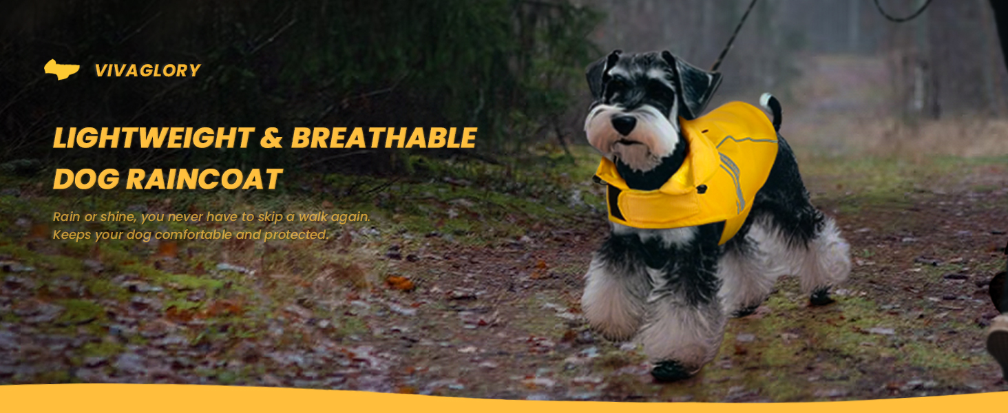Дощовик для собак VIVAGLORY, водонепроникний, з підкладкою, для зими, XS, блакитний (обхват грудей 38.1-45.7 см)