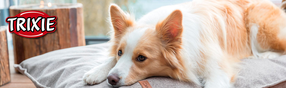 Автоматичний годівниця для собак та котів TRIXIE TX2, 2 контейнери по 0,3 л, чорно-біла, 24372