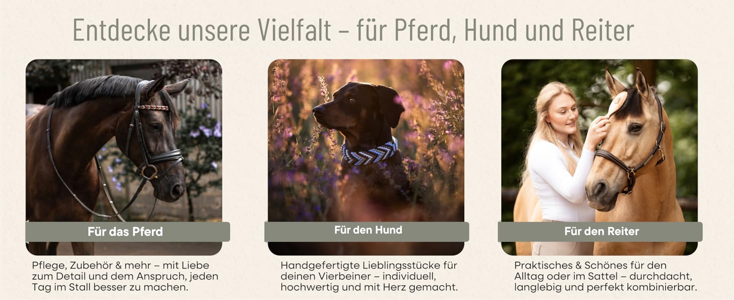 Набір ножиць для догляду за кіньми: ножиці для хвоста та гриви, з чохлом. Нержавіюча сталь, ергономічний дизайн, ідеально для догляду за хвостом та гривою.