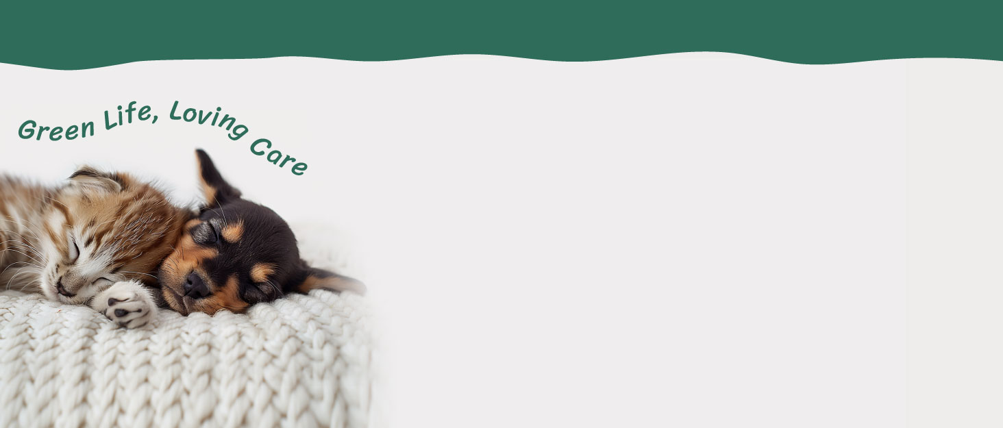 Транспортна переноска для котів та маленьких собак Gardner Pet, складана, з регульованим об'ємом, дихаюча, з плечовим ременем, BPA-free, M Basic