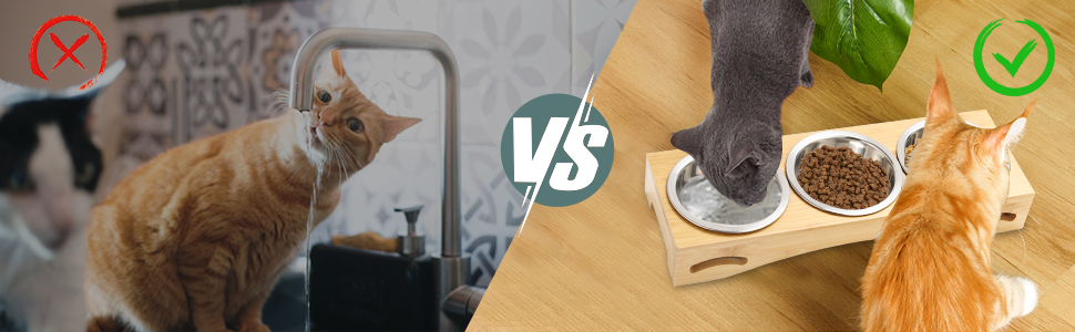 Набір мисок для котів та собак 3 шт. з підставкою з бамбука, підняті миски, нержавіюча сталь