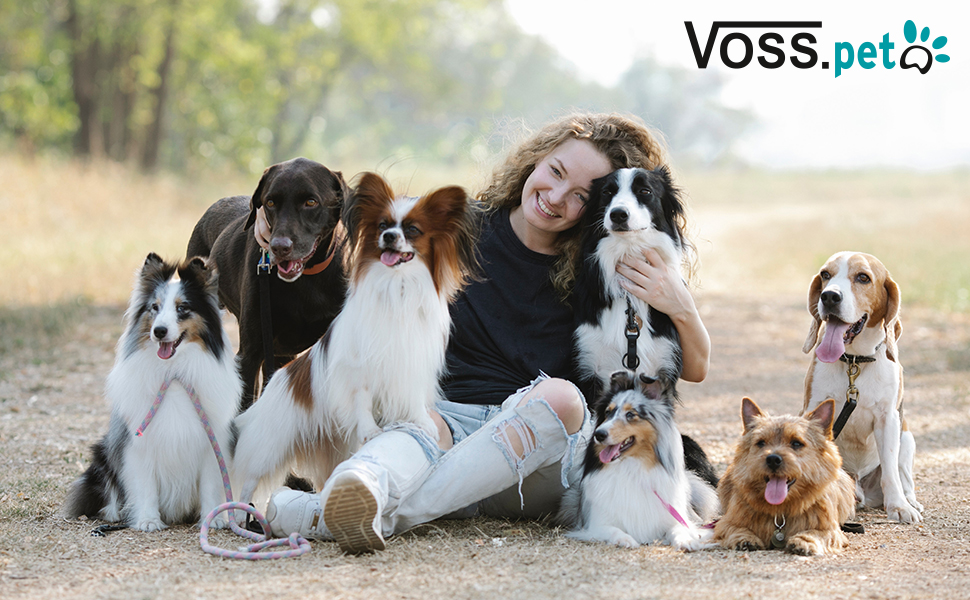 Рампа для собак VOSS.PET, висувна, алюмінієва, 100-180 см, до 120 кг