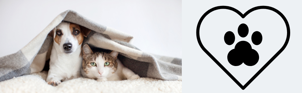 Миска для собак BELMIN, піднята - миска для води та їжі для собак, піднята годівниця для великих собак та котів, 2 регульовані висоти, миска з кераміки з бамбуковим підставкою, неслизький килимок